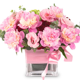 작약화병A34
