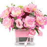 작약화병A34