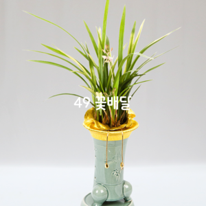 금화산(승진,취임)