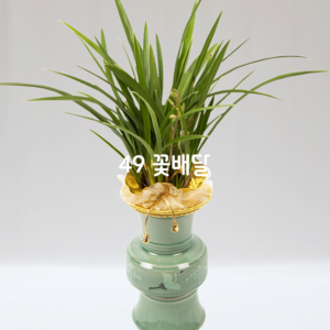 금침88