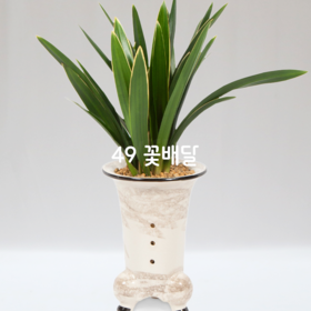 고급분대훈W