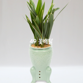 청자분대훈Q2