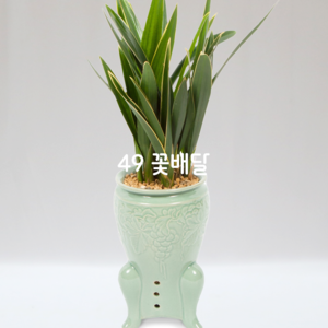 청자분대훈Q2