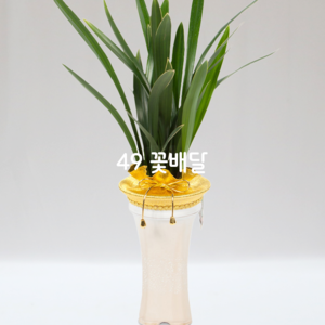 고급분보세A13