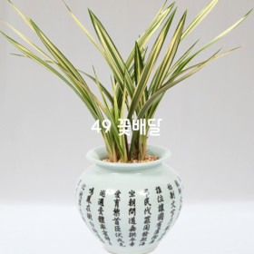 도자기분살마금F11