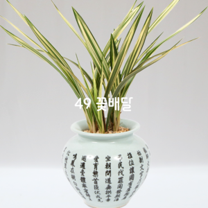 도자기분살마금F11