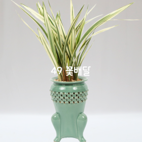 청자분살마금J6