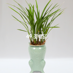 옥화29