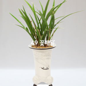 옥화B3