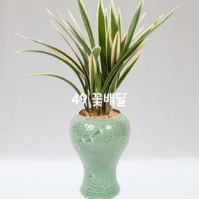황용금63