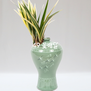태양금08