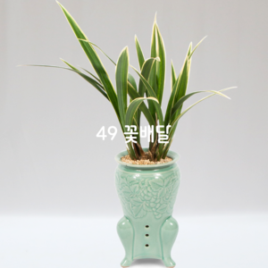 해란일향77