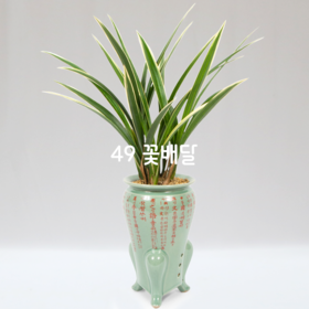 해란일향23