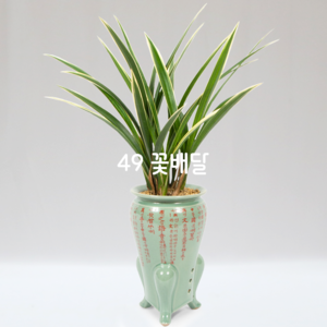 해란일향23