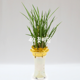 옥화6