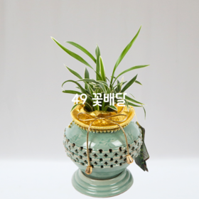 청자분대국C