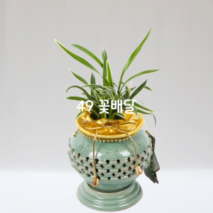 청자분대국C