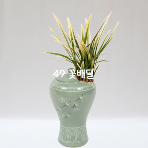 청자분태양금16