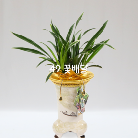 고급분대국24