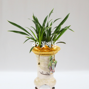 고급분대국24