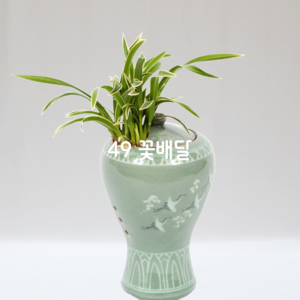 청자분대국8