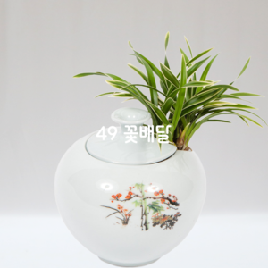 도자기대국6
