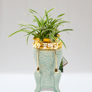 청자분대국122