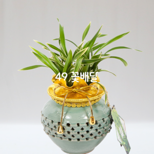 청자분대국32