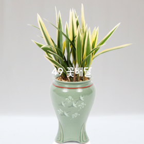 청자분금기486