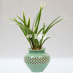 해란일향78