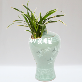 대국(청자분)N
