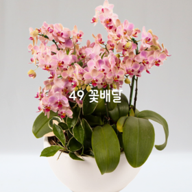 웨딩30
