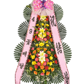 축하3단42a_