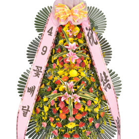 축하3단49a_