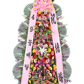 축하4단(C)a_