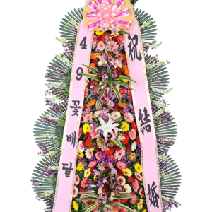 축하4단(C)a_