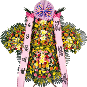 축하5단(특대)98a_