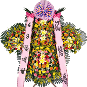 축하5단(특대)98a_