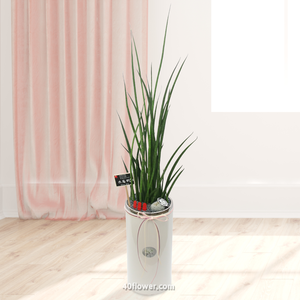실스투키(02719)a_.