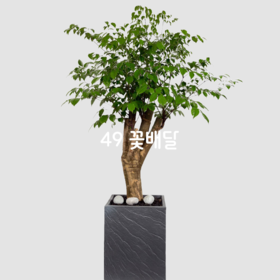 해피트리3