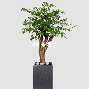 해피트리3