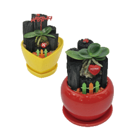 숯부작(2set)_