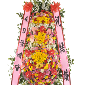 축하3단35a_