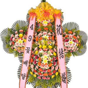 축하5단33a_