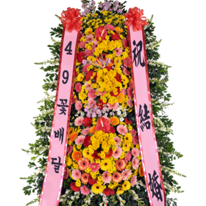 축하3단13a_