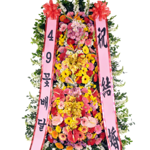 축하3단19a_