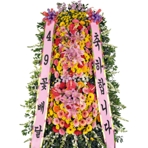 축하3단14a_