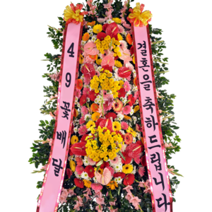축하3단9a_