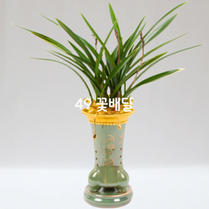 채홍 1020e6(승진,취임)