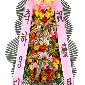 축하3단